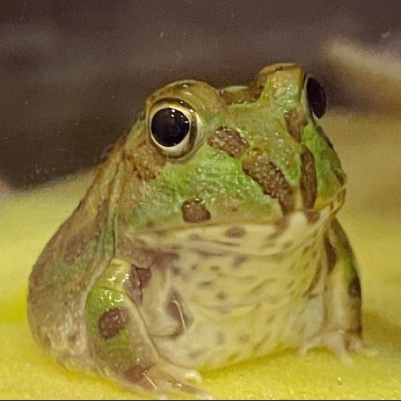 Meet your Posher, Evan - Picture 1 of 1